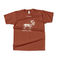 T-shirt Mixte Grandbois 100% coton